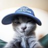 Profilbild von Ampz