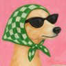 Republica Fafa's profile picture