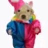 luquinhas's profile picture