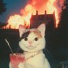فَـــ𓂆's profile picture