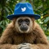Pemburu Rawon profil fotoğrafı