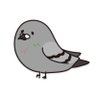 舌ぶっこ抜きスズメ's profile picture