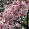 Фото профиля Jimmy Liang