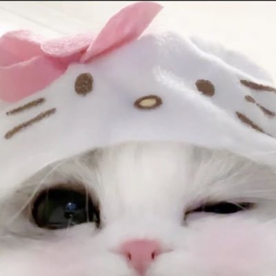 国宝's profile picture