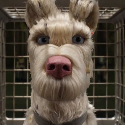 shur4CH's profile picture