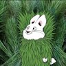 RATIONAL's profile picture