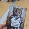 gökay. profil fotoğrafı