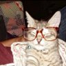 Grace君一 profil fotoğrafı