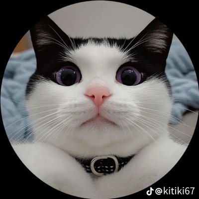 DarkBBW1's profile picture