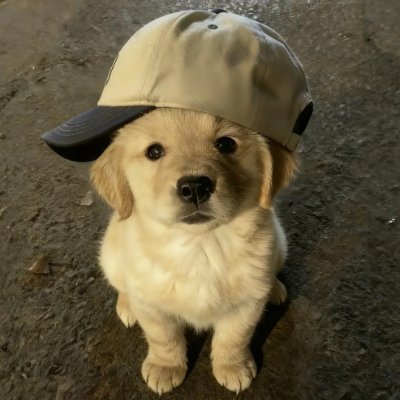 bTtSCAjqHB27937's profile picture