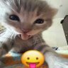 skala richter profil fotoğrafı