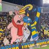 M.T.A💛💙🇮🇱's profile picture