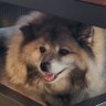 Miss crypto shrimp's profile picture