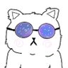 epic cat looking galaxy glasses's profile picture