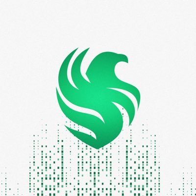 TeamFalconsGG's profile picture