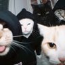 raptureboii's profile picture