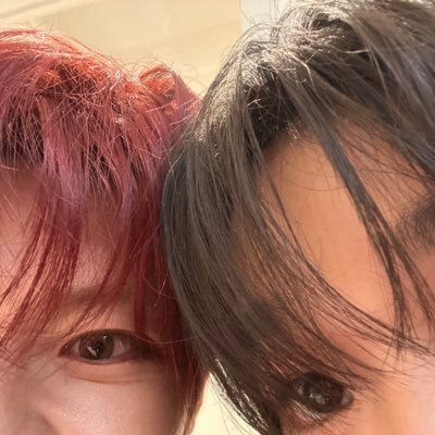 숀쿨 아카이브's profile picture