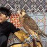 أعرابي profil fotoğrafı