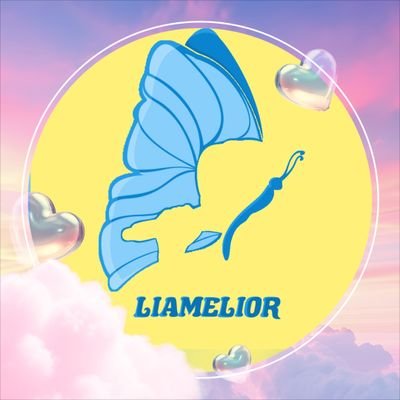 𝐋𝐈𝐀𝐌𝐄𝐋𝐈𝐎𝐑 | #keLIAtan 🌟's profile picture