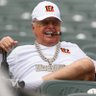 Bengals B 的头像