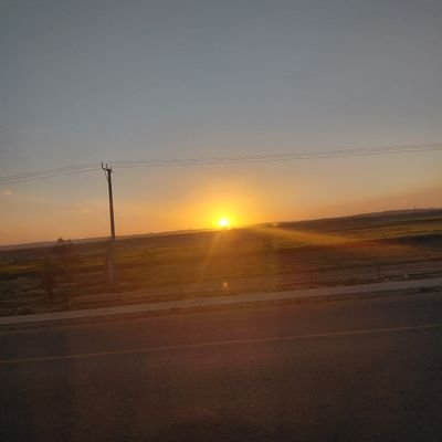 xoojee's profile picture