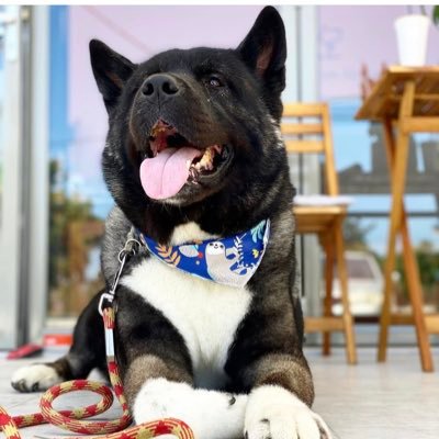 Voucher🧨's profile picture