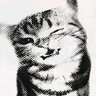 valentino 🇨🇺's profile picture