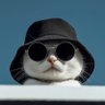 Yoke's profile picture