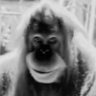 Profilbild von Ethan