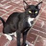 Saifsaaaam profil fotoğrafı