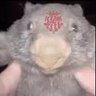 Profilbild von NastikerExiliat๐น๐ท