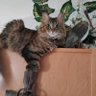 Profilbild von Barbara Culy
