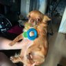 Kenny's profile picture