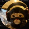 esma hanım's profile picture