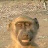 Profilbild von JjAaZzZz