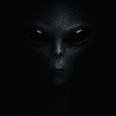 anonymoushadoww's profile picture
