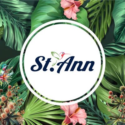 St. Ann 360 🇯🇲's profile picture
