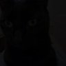 Profilbild von Jairo
