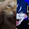 TeleVision2527's profile picture