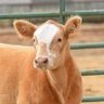 Kam's profile picture
