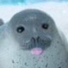 Grumby's profile picture