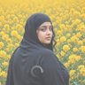 يمني مخضرم 的头像