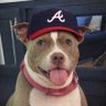 KarenThePitbull profil fotoğrafı