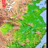 Profilbild von Liuyang@