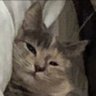 Profilbild von Kyroe