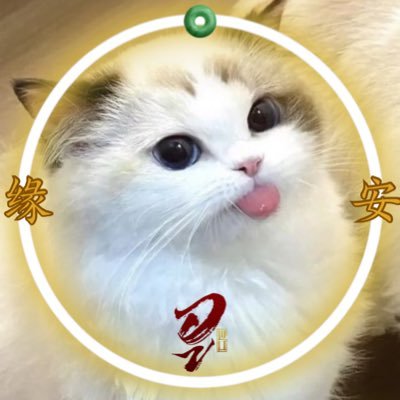 meow 😽's profile picture