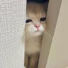 keqi 的头像
