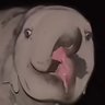 Oesmanthes78's profile picture