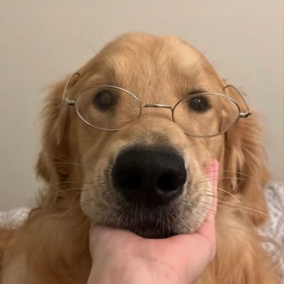 เก้ทเก้ท 🫧's profile picture