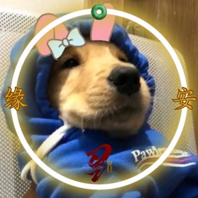 ♡𝑙𝑚.'s profile picture